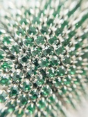 Стразовая лента Emerald