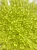 Бисер круглый 11/0 143F Matte Transparent Chartreuse